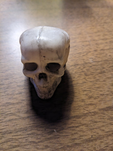 A099 3SB GI JOE 1/6 scale skull nice for dioramas new.