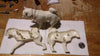 A362 GI Joe Hasbro Action Man 40th Anniversary unpainted white Husky snow dog new.