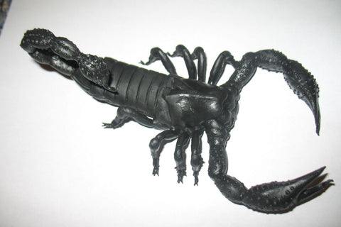 A229 3SB Books 1/6 1:6 scale Giant Scorpion for use with GI JOE New.